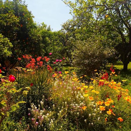 B&B Casanera Riposto Εξωτερικό φωτογραφία