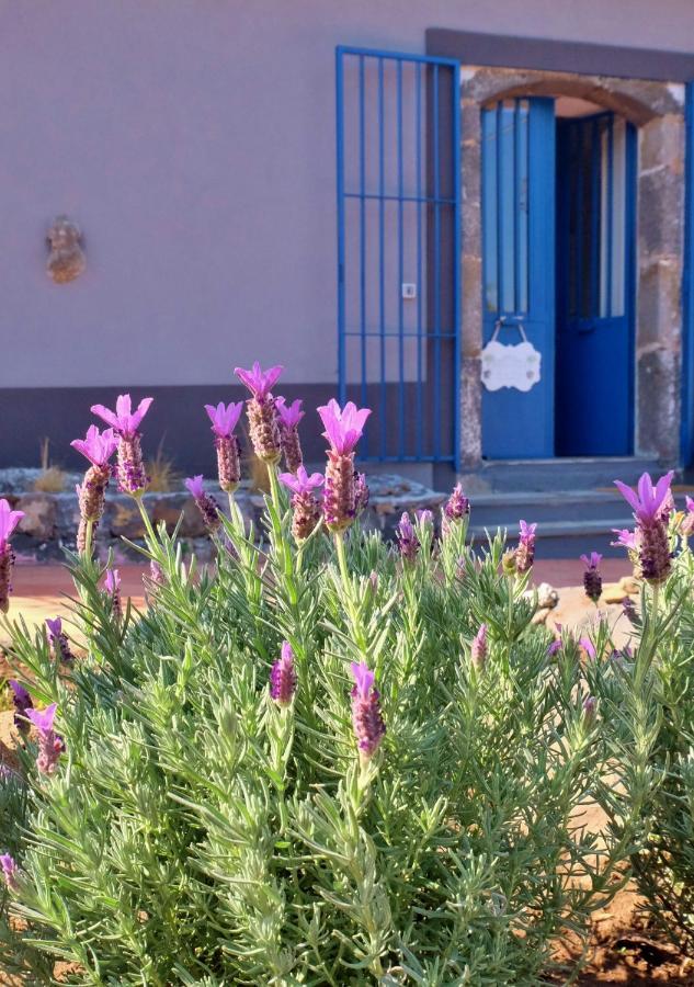 B&B Casanera Riposto Εξωτερικό φωτογραφία