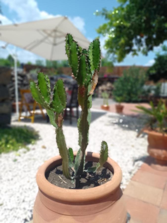 B&B Casanera Riposto Εξωτερικό φωτογραφία