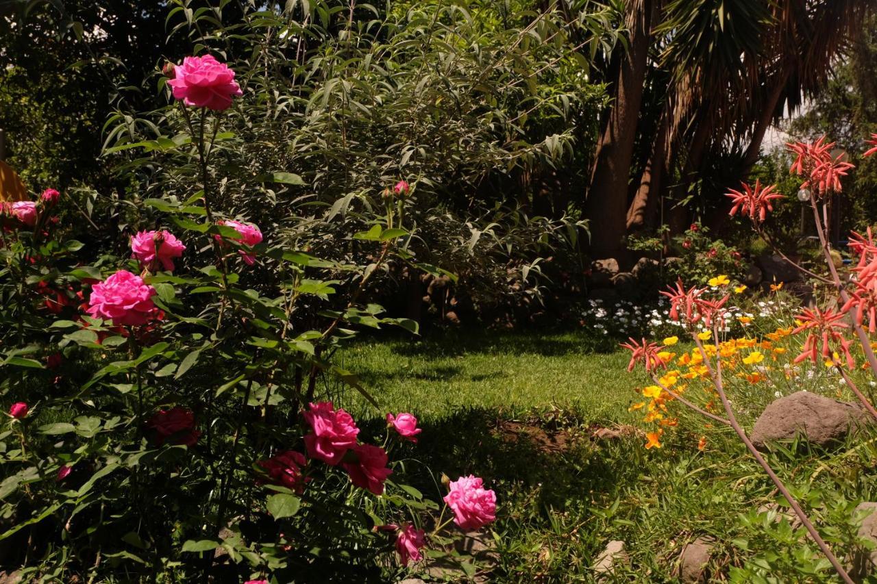 B&B Casanera Riposto Εξωτερικό φωτογραφία