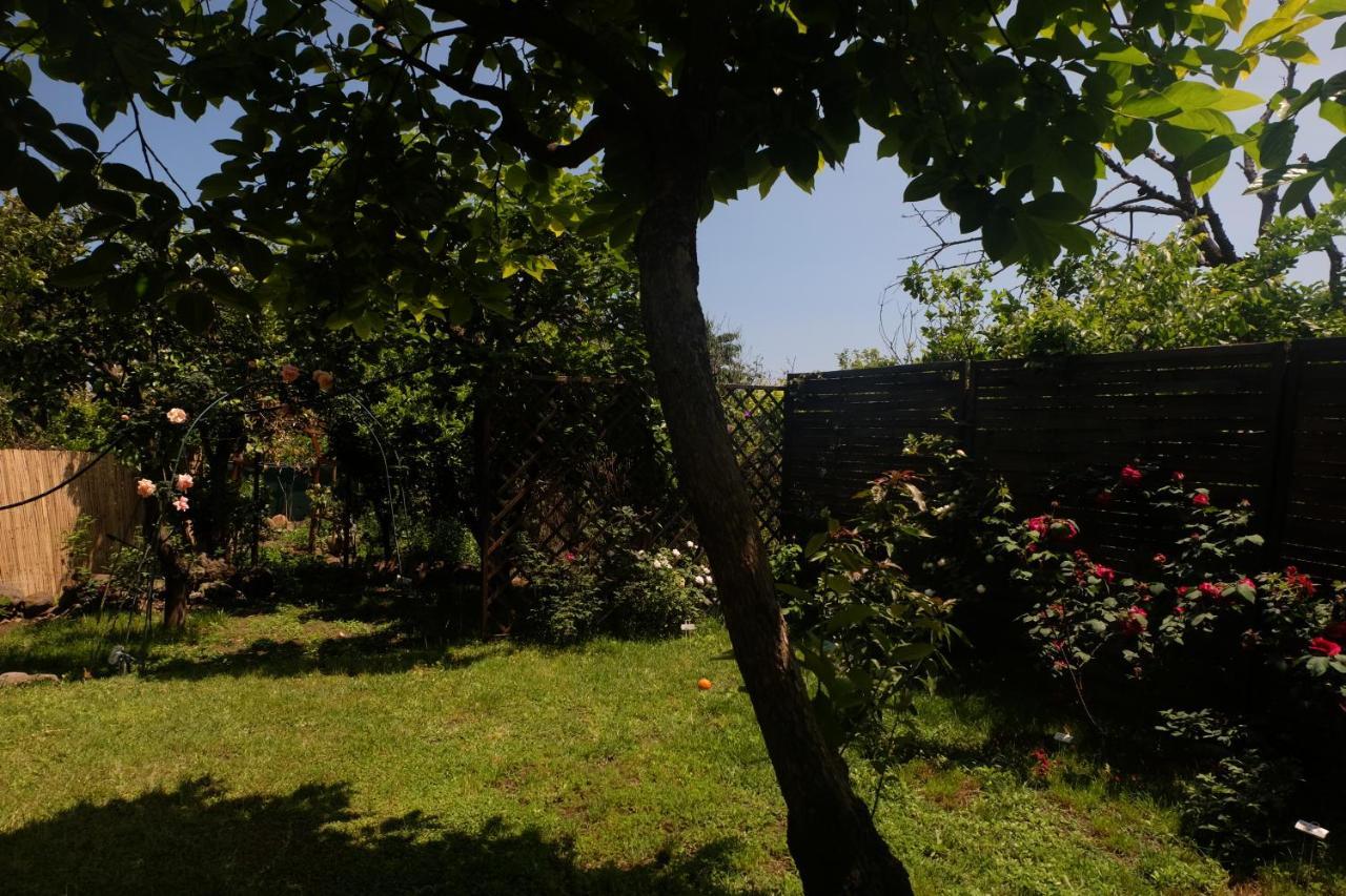 B&B Casanera Riposto Εξωτερικό φωτογραφία