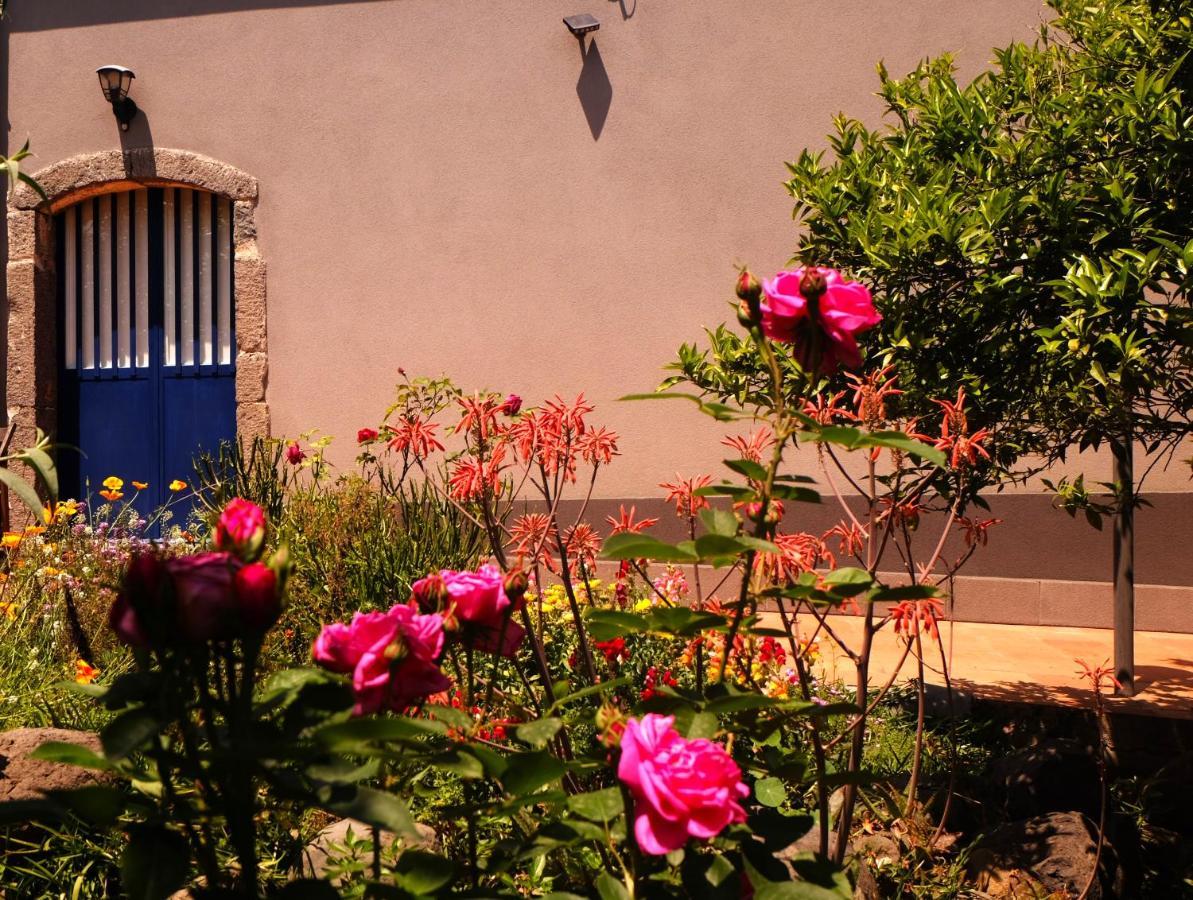B&B Casanera Riposto Εξωτερικό φωτογραφία